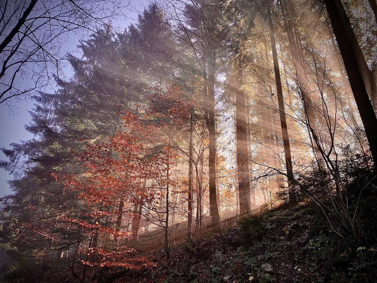 Domki Z Prywatna Sauna- Na Szlaku Милювка Экстерьер фото
